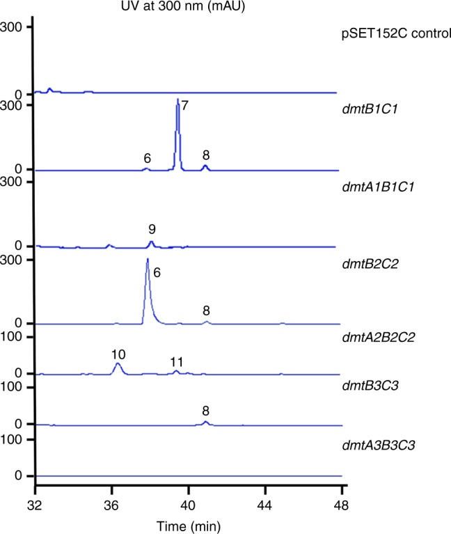 Fig. 5