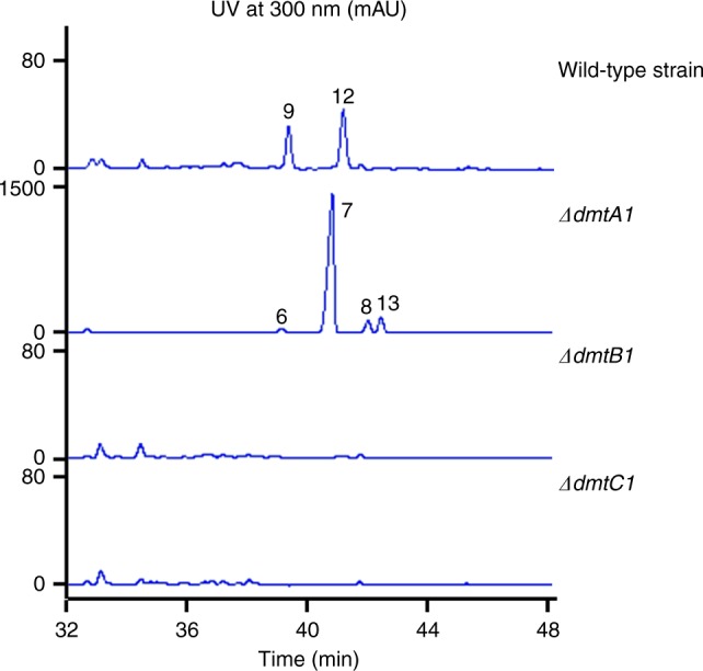 Fig. 6