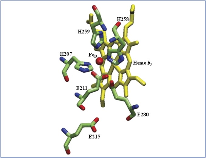 Fig. 2.