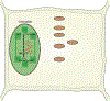 Figure 9.