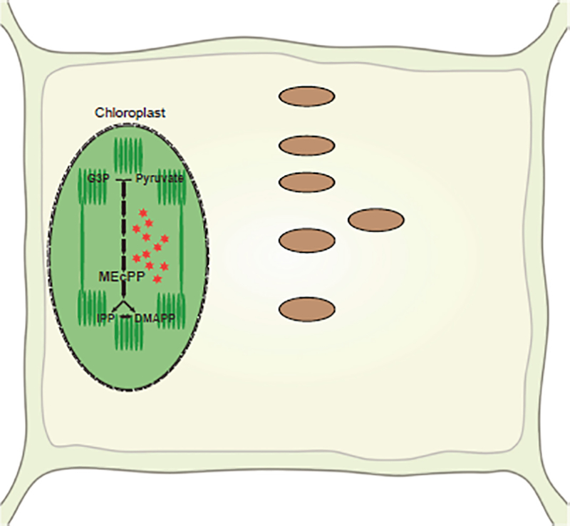 Figure 9.