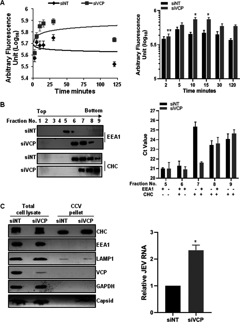 FIG 6