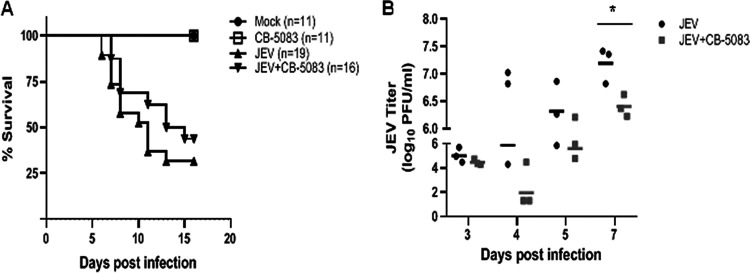 FIG 3