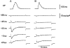 Fig. 3.