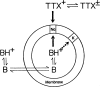 Fig. 4.