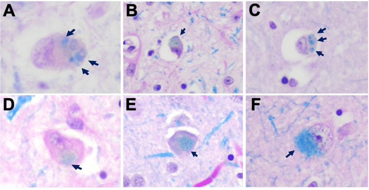 Figure 5.