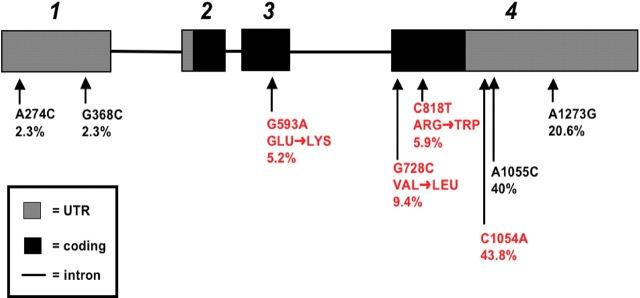 Figure 1.