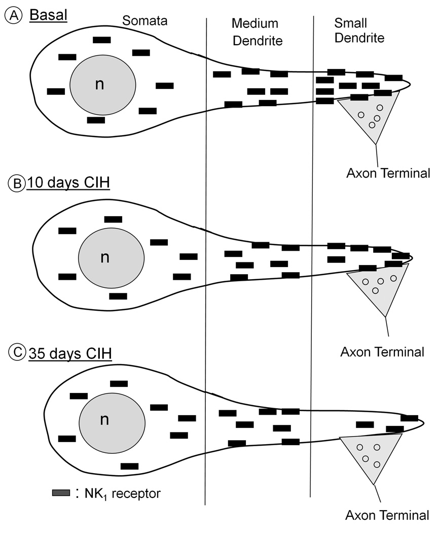 Fig. 9