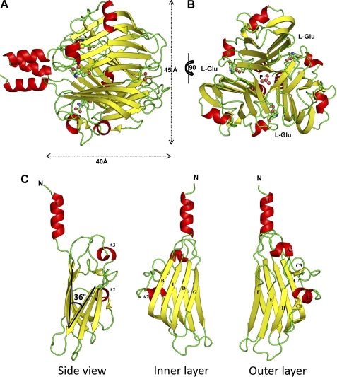 FIGURE 2.