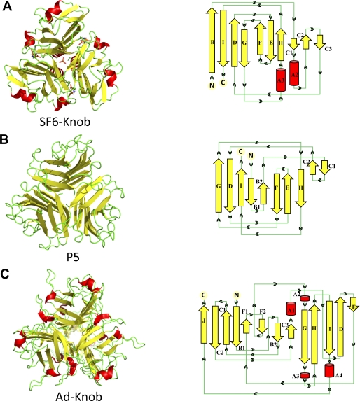 FIGURE 4.