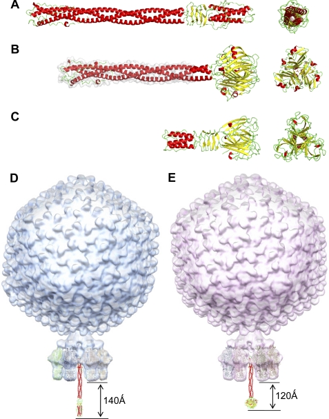 FIGURE 5.