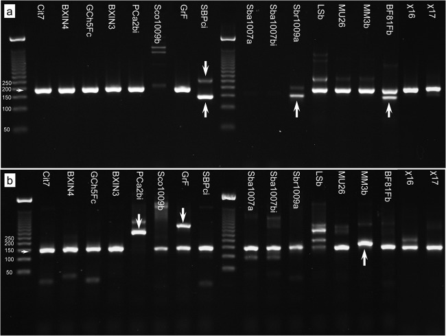 FIG 3