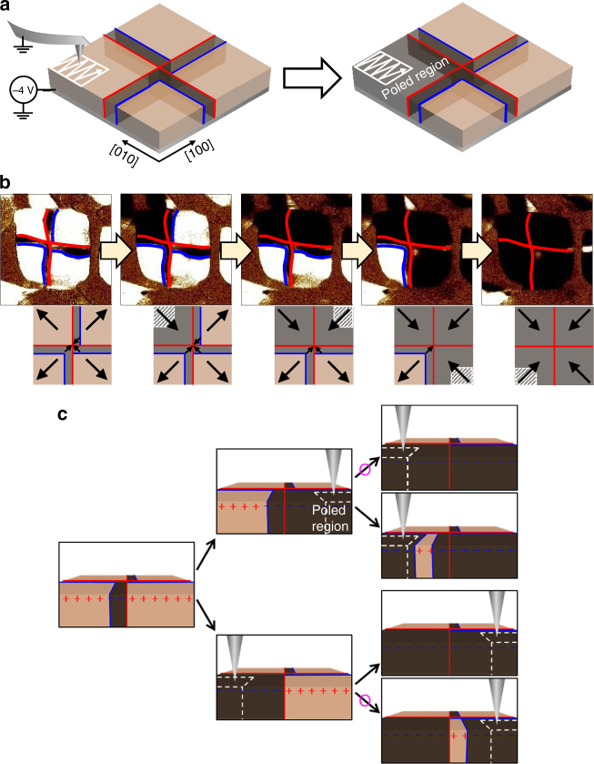 Fig. 6