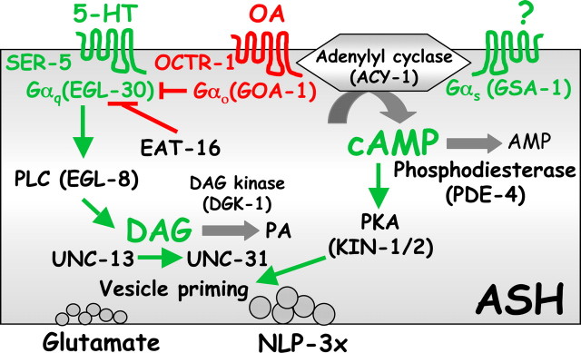 Figure 12.