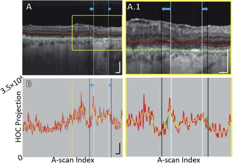 Fig. 7.