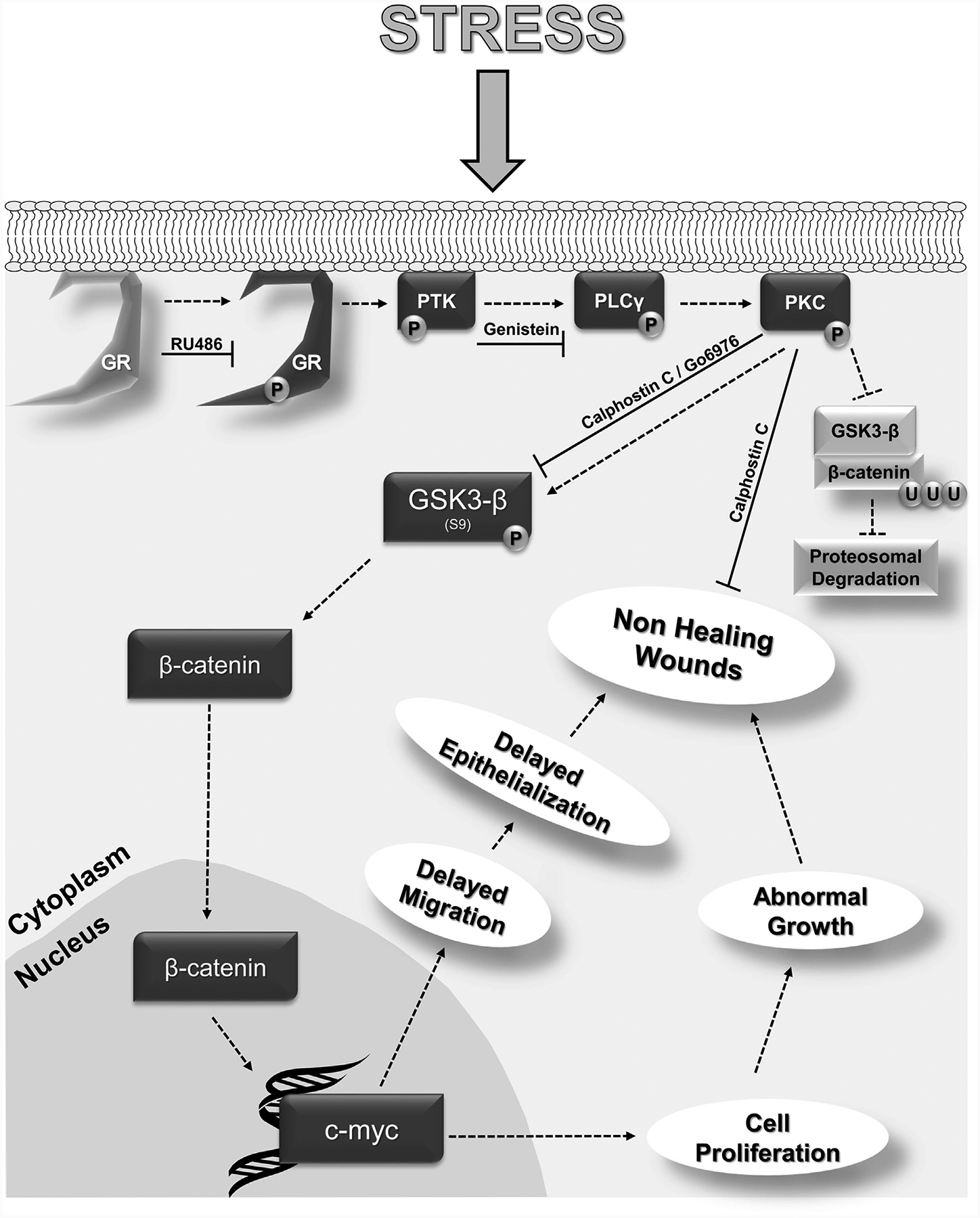 Figure 6.