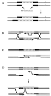 FIG. 11