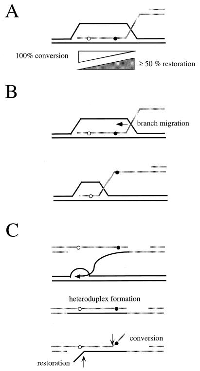 FIG. 19