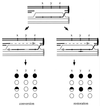 FIG. 18