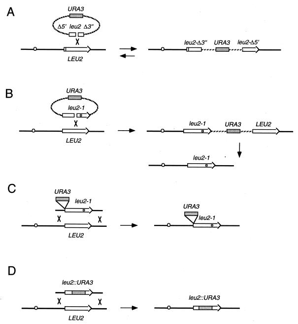 FIG. 3