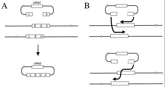 FIG. 10