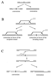 FIG. 16