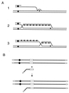 FIG. 12