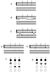 FIG. 9