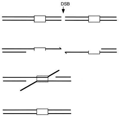 FIG. 13