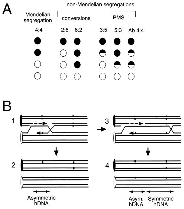 FIG. 15