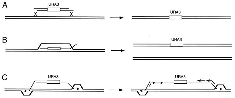 FIG. 14