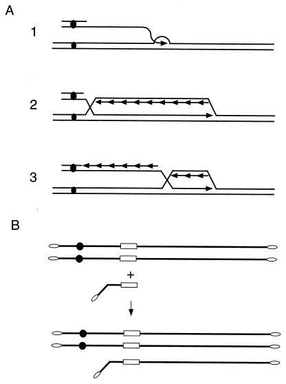 FIG. 12