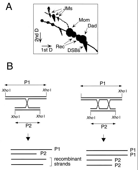 FIG. 7