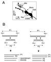 FIG. 7