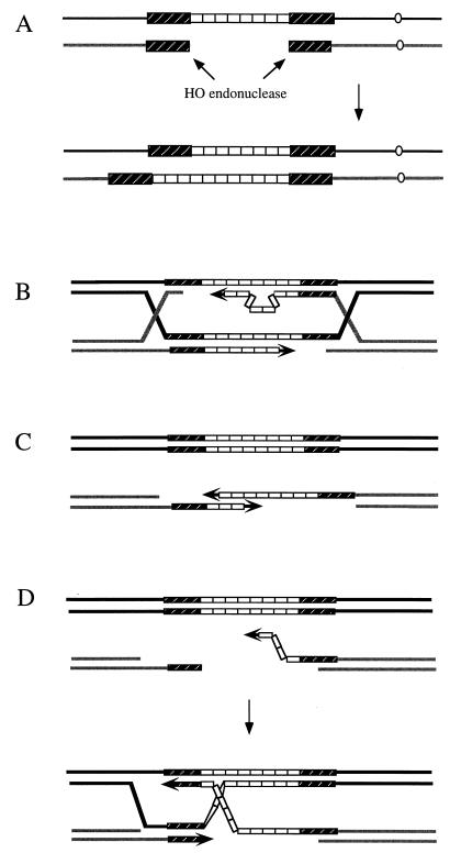 FIG. 11