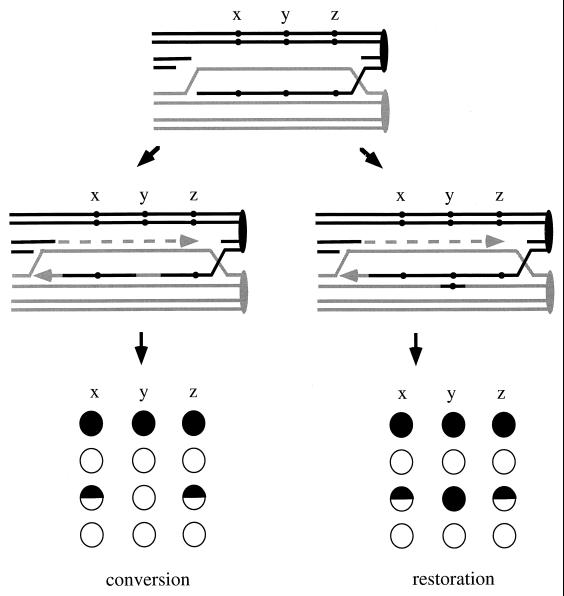 FIG. 18