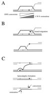 FIG. 19