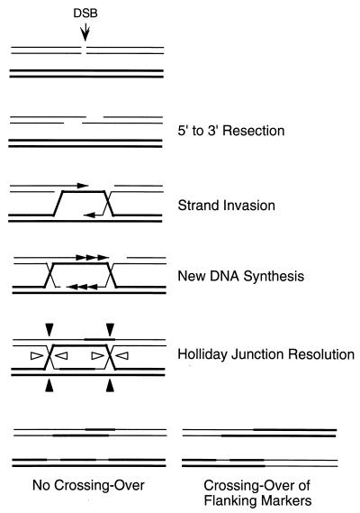 FIG. 6