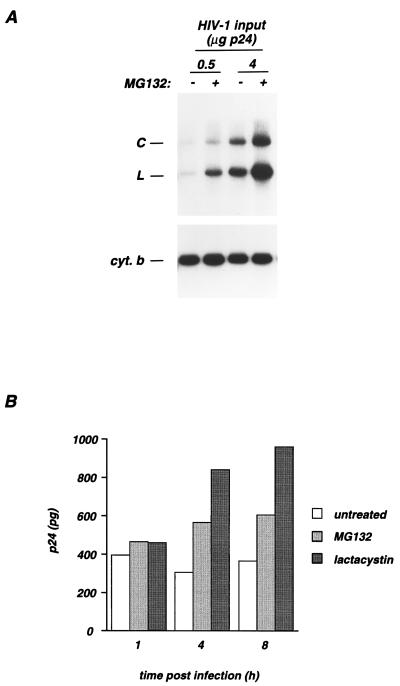 FIG. 4