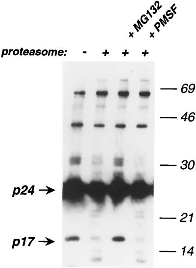 FIG. 5