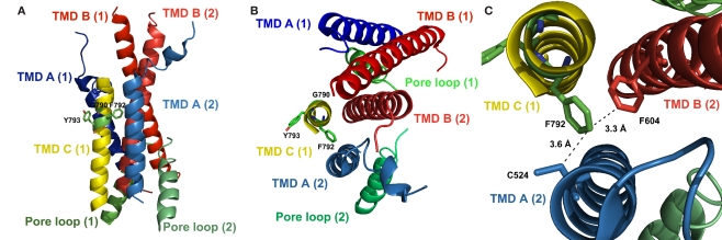 Figure 6