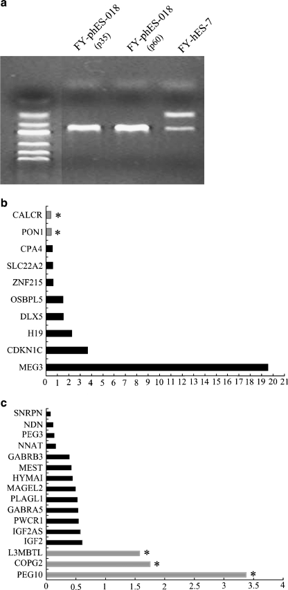 Fig. 6