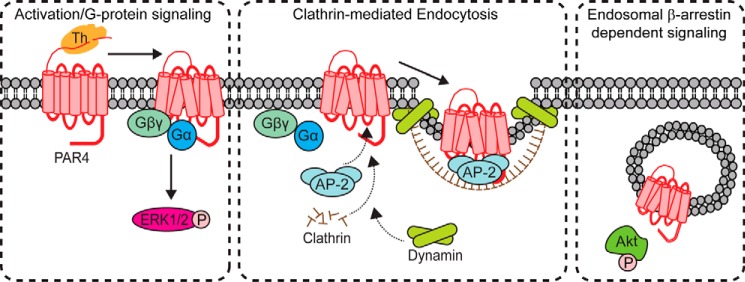 FIGURE 10.