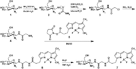 Scheme 1