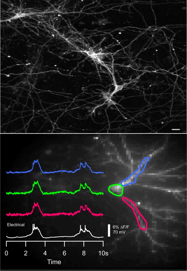 Figure 4