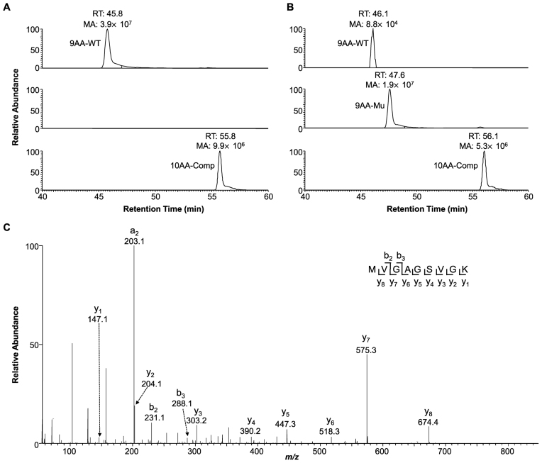 Figure 2.