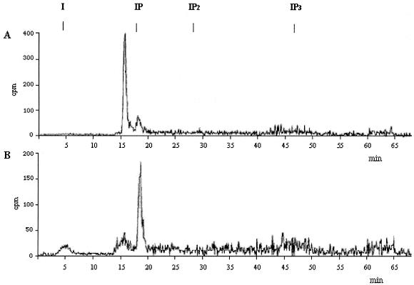 FIG. 5.