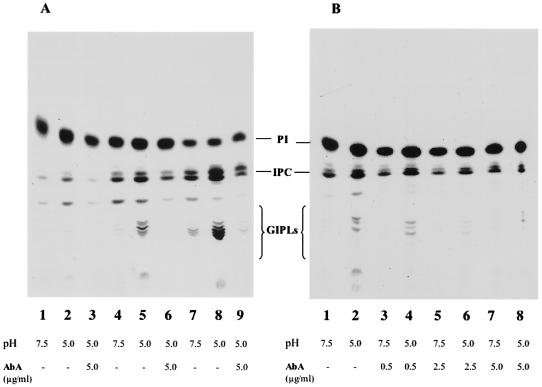 FIG. 8.