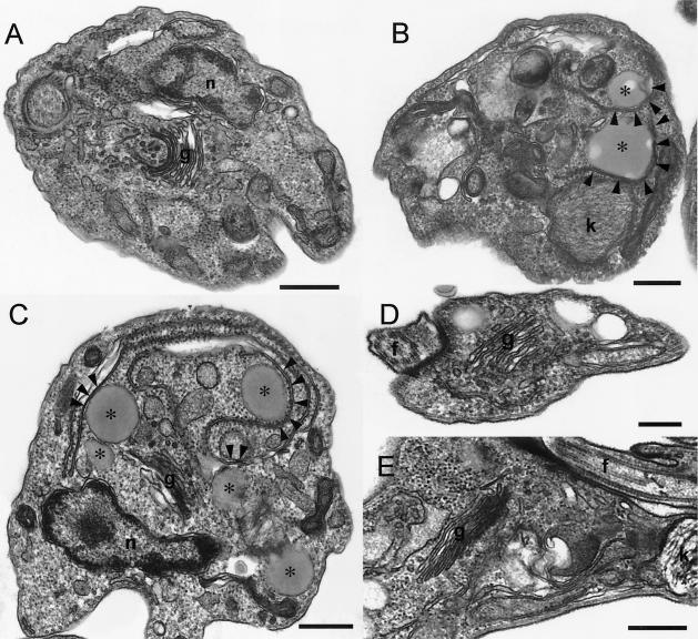 FIG. 11.