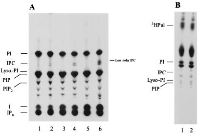 FIG. 1.